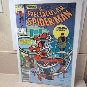 The Spectacular Spider-Man Comic Book #173